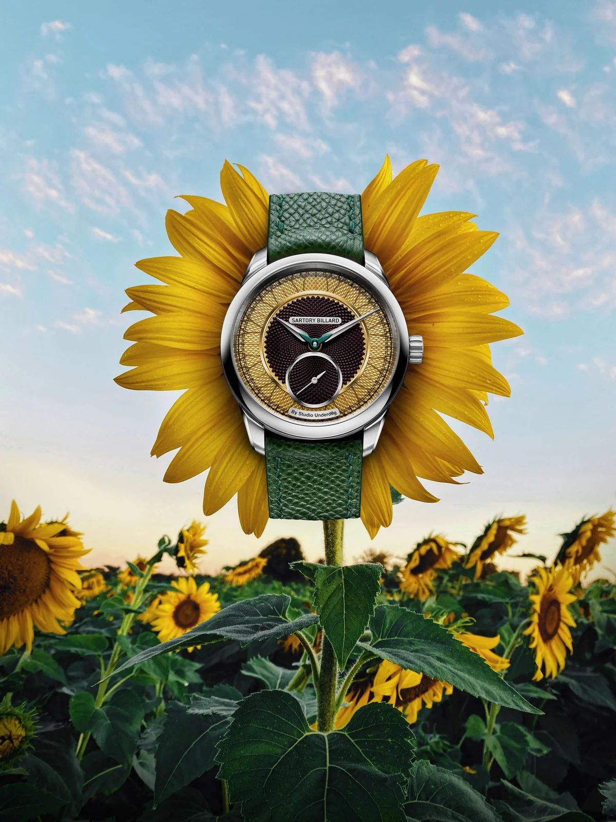 Sartory Billard × Studio Underdog SB05 Sunflower